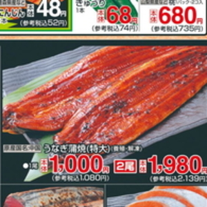 うなぎの蒲焼き