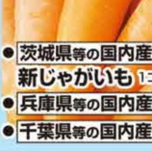 新たまねぎ