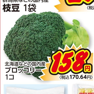 ブロッコリー