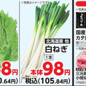 ながねぎ