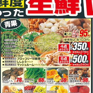 まいたけ