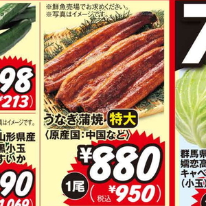 うなぎの蒲焼き