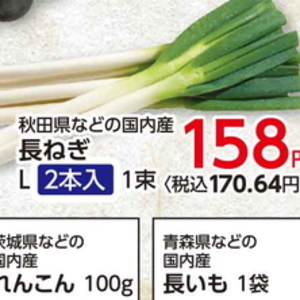 ながねぎ