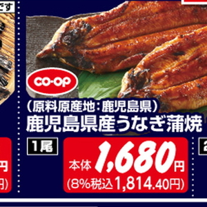 うなぎの蒲焼き