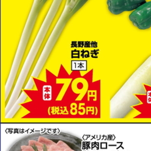 ながねぎ
