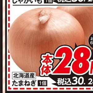 たまねぎ