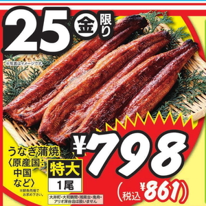 うなぎの蒲焼き