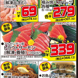 サーモン（刺身）