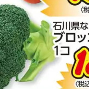 ブロッコリー