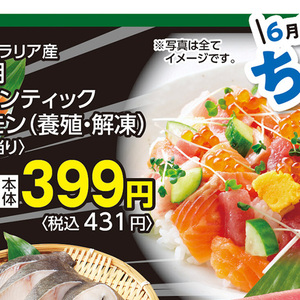 サーモン（さく取り）