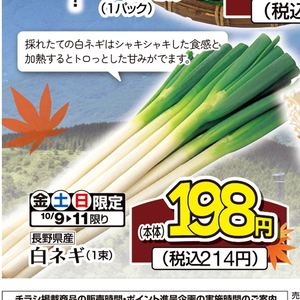 ながねぎ