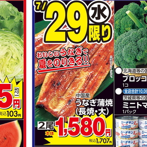 うなぎの蒲焼き