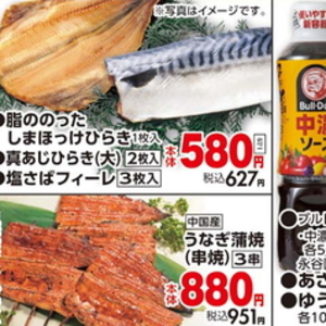 うなぎの蒲焼き