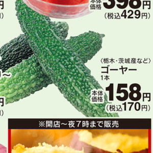 ゴーヤ