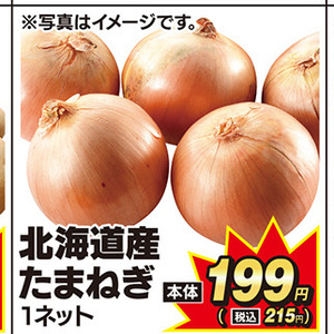 たまねぎ