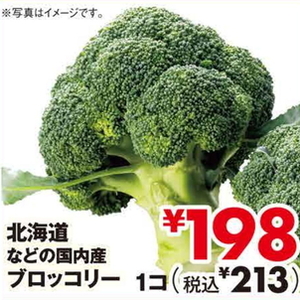 ブロッコリー