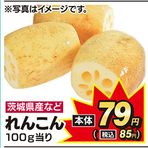 レンコン