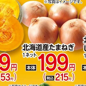 たまねぎ