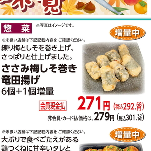 鶏ササミ