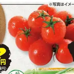 ミニトマト