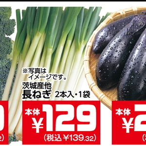 ながねぎ