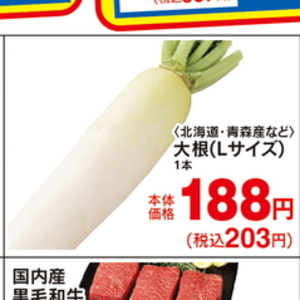 だいこん