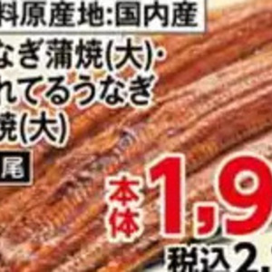 うなぎの蒲焼き