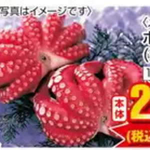 たこ（ボイル）