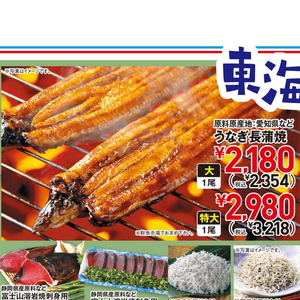 うなぎの蒲焼き
