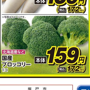 ブロッコリー