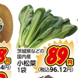 こまつ菜