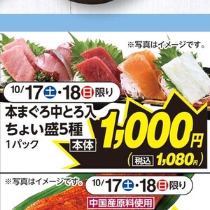 まぐろ中とろ
