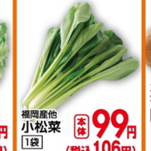 こまつ菜