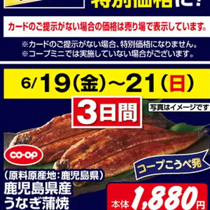 うなぎの蒲焼き