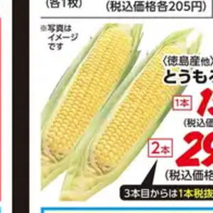 とうもろこし