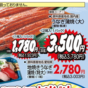 うなぎの蒲焼き