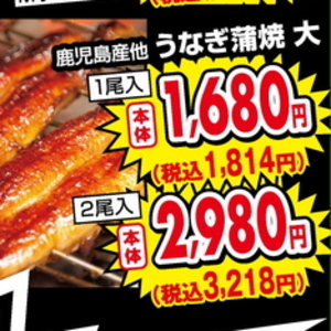 うなぎの蒲焼き