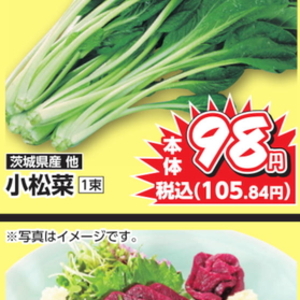 こまつ菜