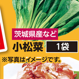 こまつ菜