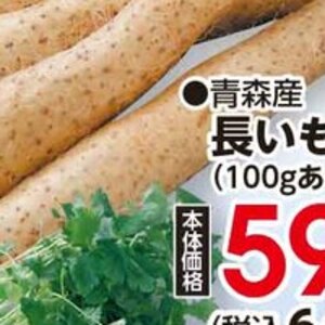 ながいも