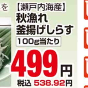 しらす