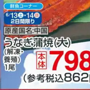 うなぎの蒲焼き