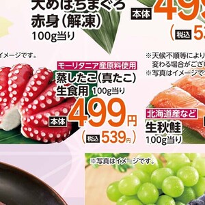 たこ（ボイル）