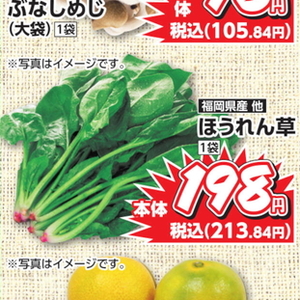 ほうれん草