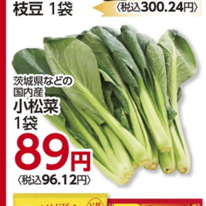 こまつ菜
