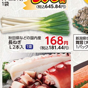 ながねぎ