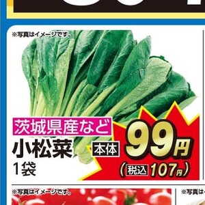 こまつ菜
