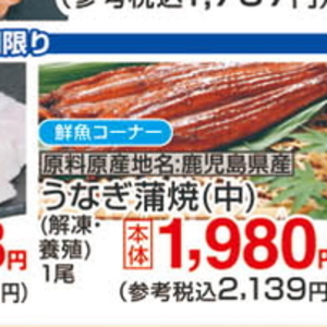 うなぎの蒲焼き