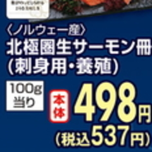 サーモン（さく取り）