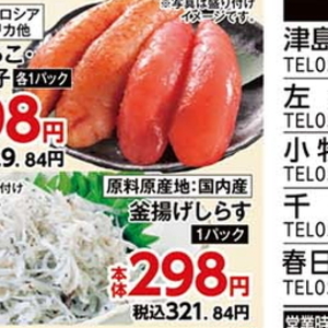 しらす